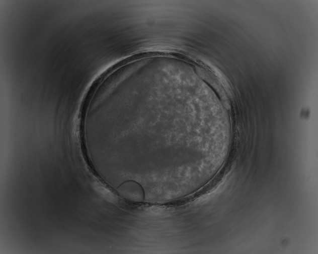 X0000102820779200809081130