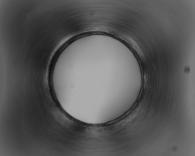 X0000102820780200809081130