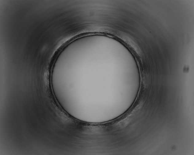 X0000102820781200809081130