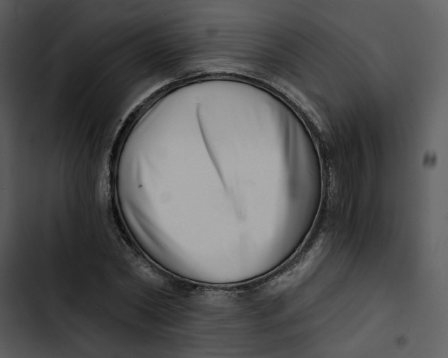 X0000102820782200809081130