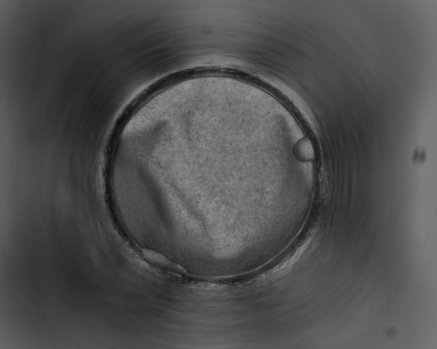 X0000102820783200809081130