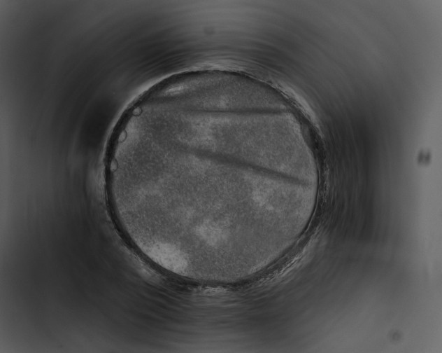 X0000102820784200809081130