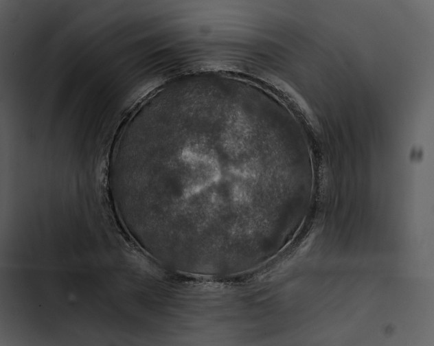 X0000102820785200809081130