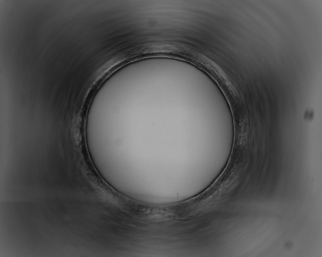 X0000102820786200809081130