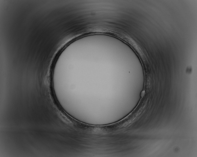 X0000102820787200809081130