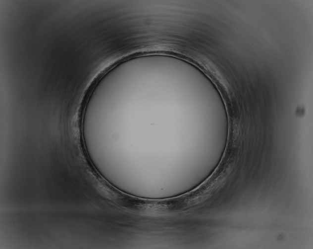 X0000102820789200809081130