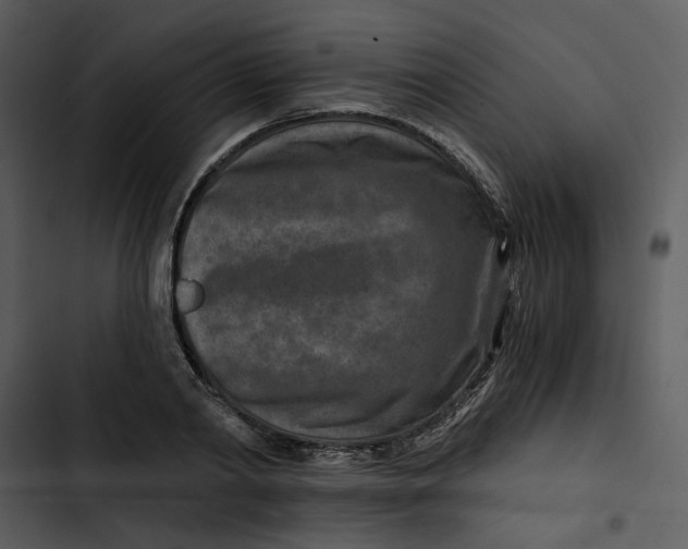 X0000102820790200809081130