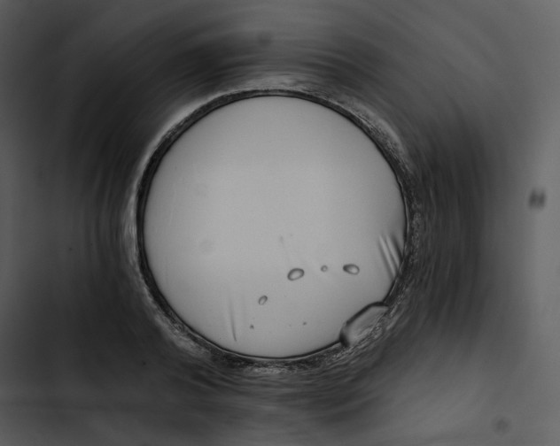 X0000102820792200809081130