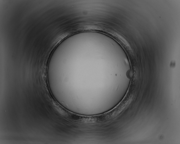 X0000102820793200809081130