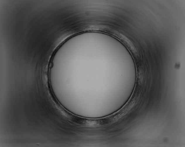 X0000102820794200809081130