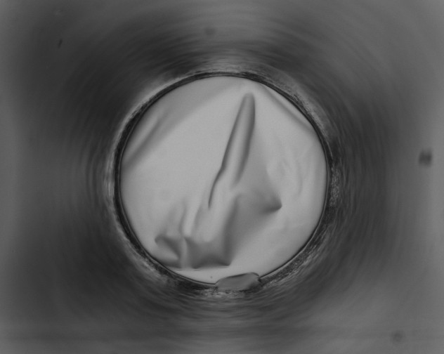 X0000102820795200809081130