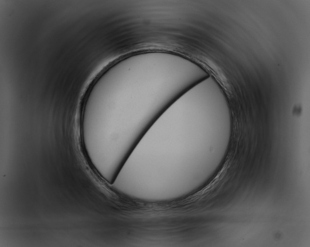 X0000102820796200809081130