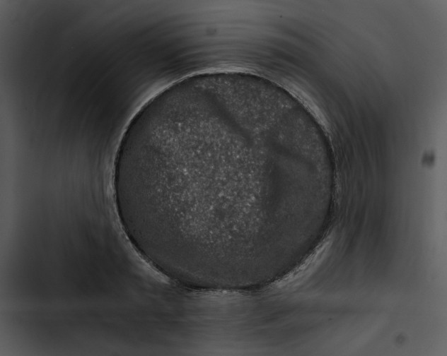 X0000102820797200809081129