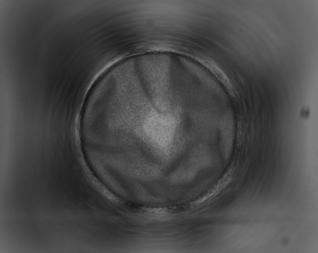 X0000102820798200809081129