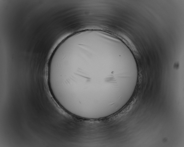 X0000102820804200809081129