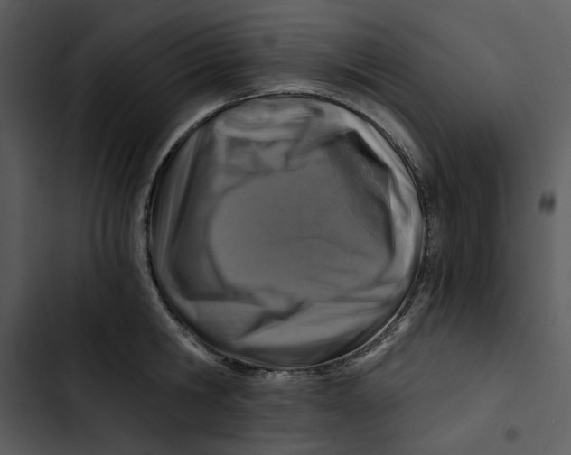 X0000102820806200809081129