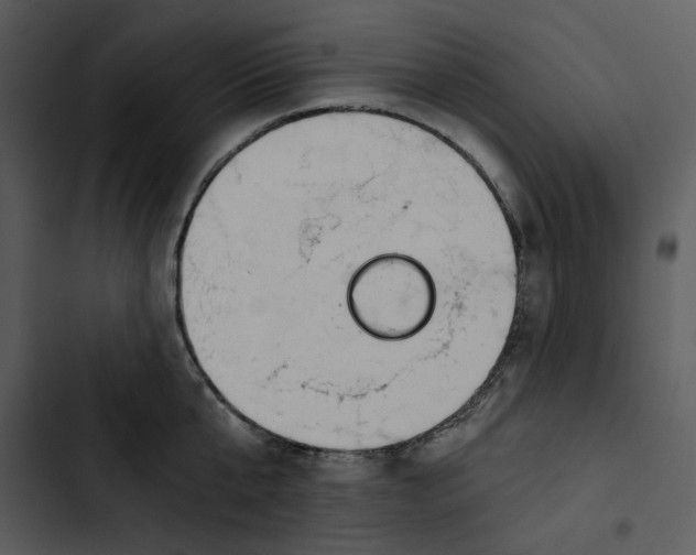 X0000102820807200809081129