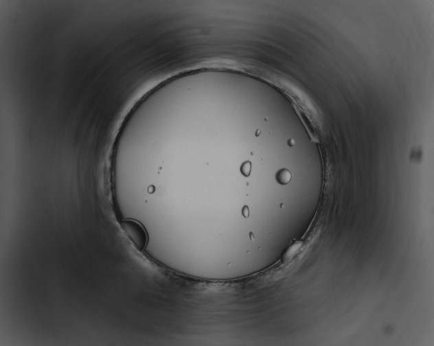 X0000102820808200809081129