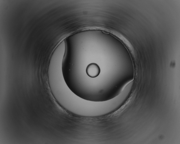 X0000102820809200809081129