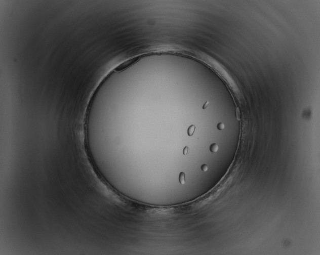 X0000102820810200809081129