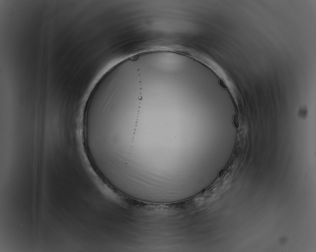 X0000102820811200809081129