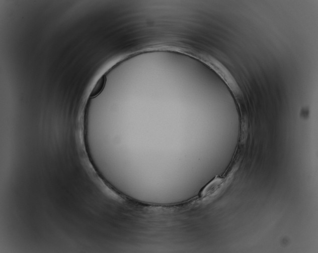 X0000102820812200809081129