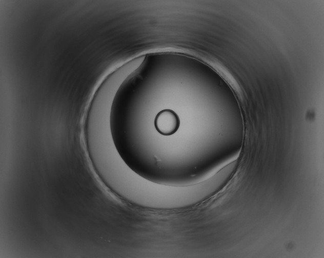 X0000102820813200809081129