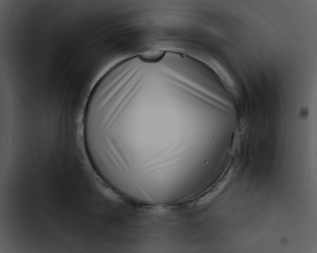 X0000102820814200809081129