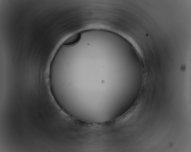 X0000102820815200809081129