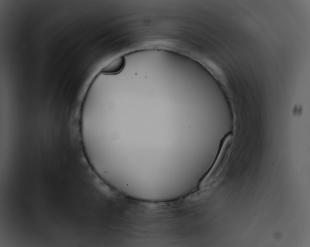 X0000102820816200809081129