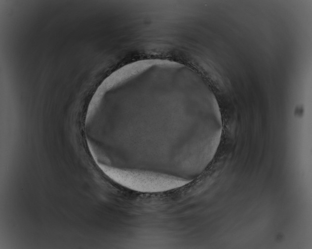 X0000102820817200809081129