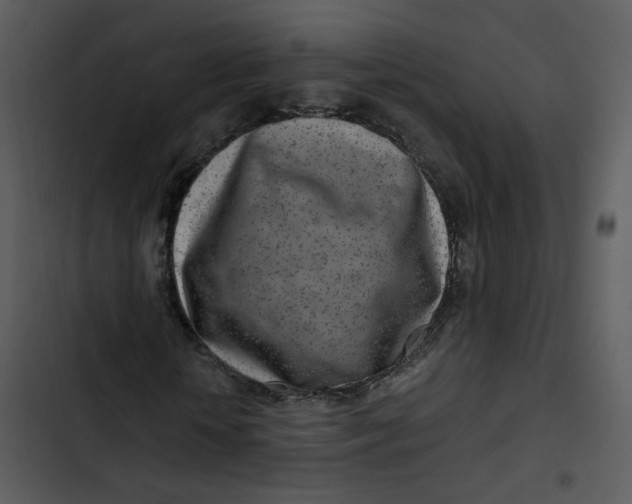 X0000102820818200809081129