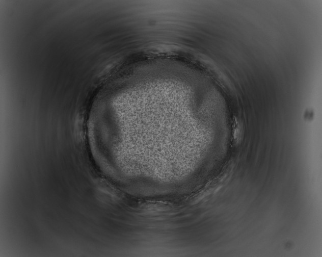 X0000102820819200809081129