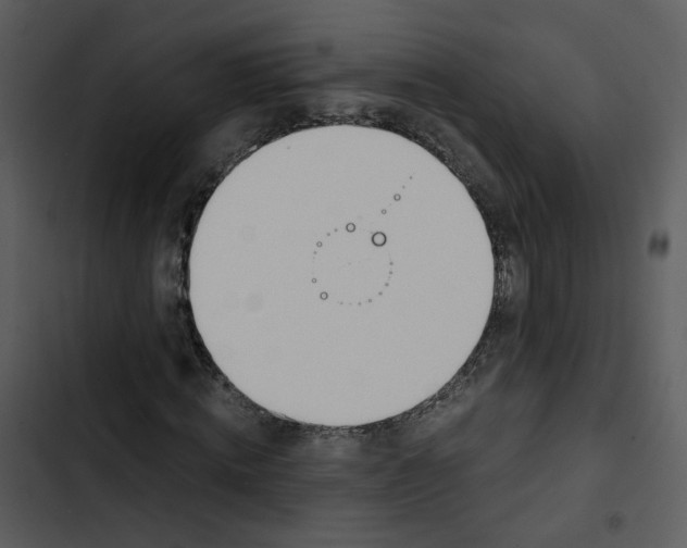 X0000102820820200809081129