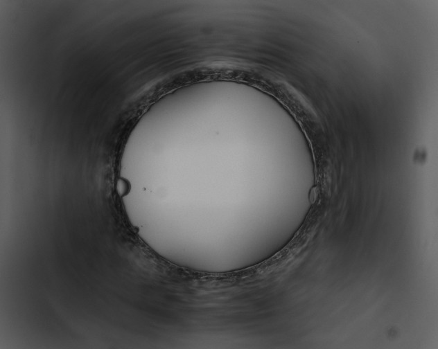 X0000102820821200809081129