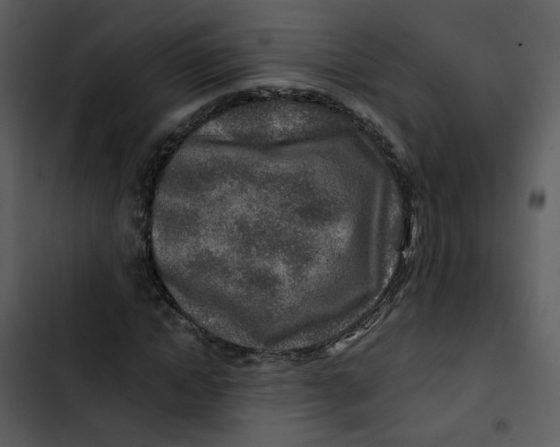 X0000102820822200809081129