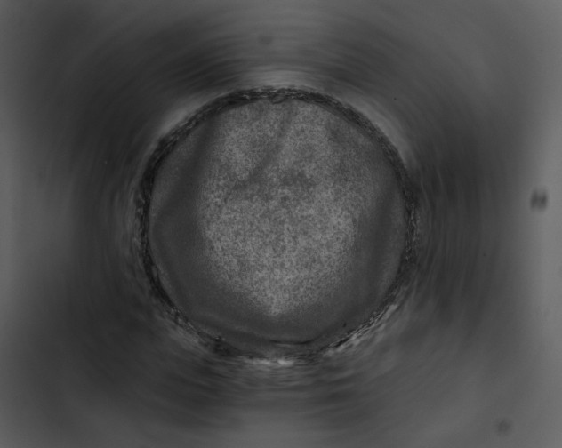 X0000102820823200809081129