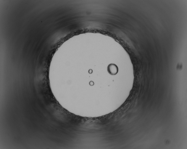 X0000102820824200809081129