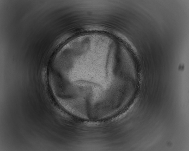 X0000102820825200809081129