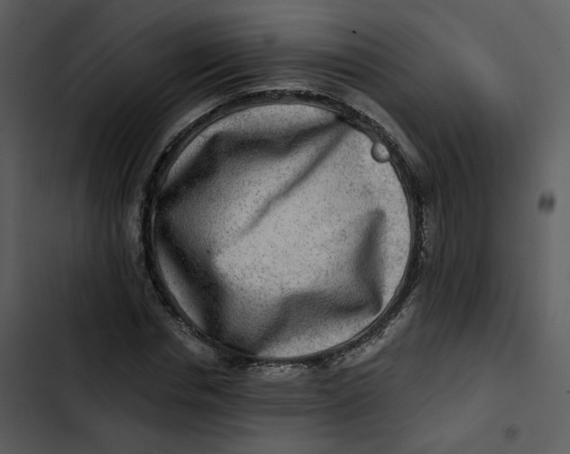 X0000102820826200809081129