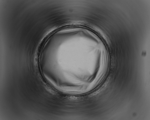 X0000102820827200809081129