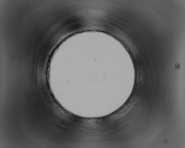 X0000102820828200809081129