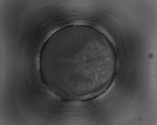 X0000102820829200809081129