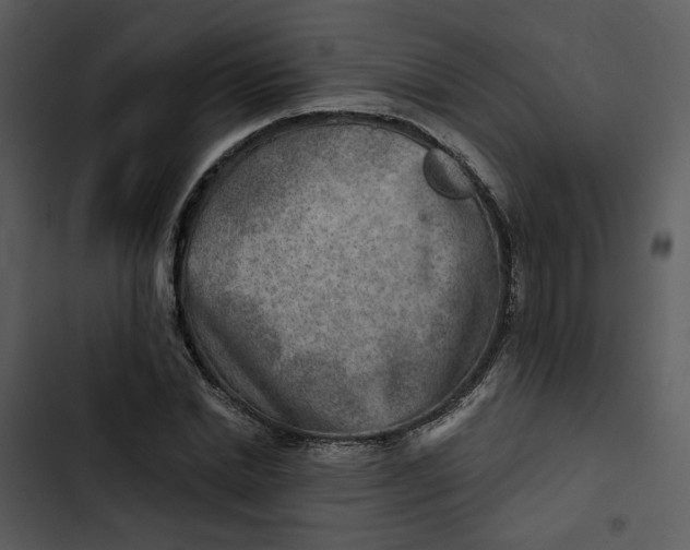 X0000102820830200809081129