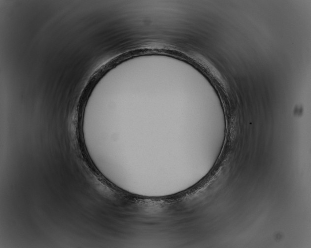 X0000102820831200809081129