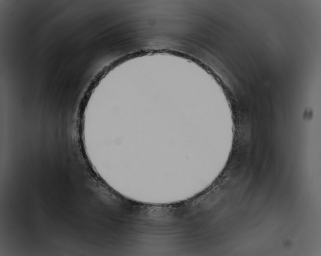 X0000102820832200809081129