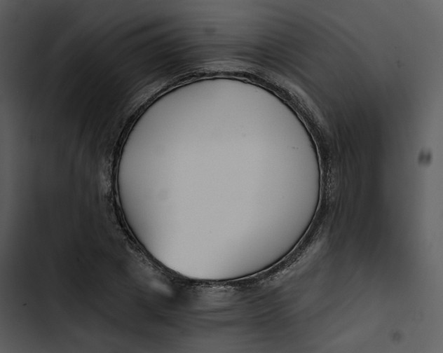 X0000102820833200809081129