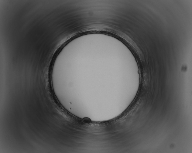 X0000102820834200809081129