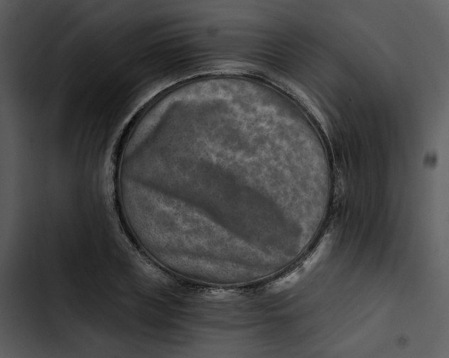 X0000102820835200809081129