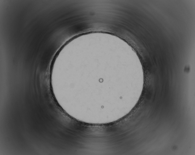 X0000102820836200809081129